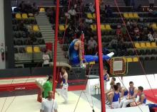 <a href="/actualites/finales-des-coupes-nationales-interclubs-de-gymnastique-masculine" class="active">Finales des Coupes Nationales Interclubs de gymnastique masculine</a><div class="smartphoto_back_link"><a href="/multimedia">Retour aux albums</a></div><div class="smartphoto_date_album">Album publié le 11/05/2017</div>