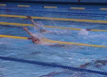 <a href="/actualites/la-natation-mise-lhonneur-tours-pour-le-championnat-national-2016" class="active">La natation mise à l’honneur à Tours pour le championnat national 2016  </a><div class="smartphoto_back_link"><a href="/multimedia">Retour aux albums</a></div><div class="smartphoto_date_album">Album publié le 16/05/2016</div>