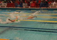 <a href="/actualites/la-natation-mise-lhonneur-tours-pour-le-championnat-national-2016" class="active">La natation mise à l’honneur à Tours pour le championnat national 2016  </a><div class="smartphoto_back_link"><a href="/multimedia">Retour aux albums</a></div><div class="smartphoto_date_album">Album publié le 16/05/2016</div>