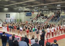 <a href="/actualites/retour-sur-les-demi-finales-des-coupes-nationales-mixtes-de-la-zone-ouest" class="active">Retour sur les demi-finales des Coupes Nationales Mixtes de la zone Ouest</a><div class="smartphoto_back_link"><a href="/multimedia">Retour aux albums</a></div><div class="smartphoto_date_album">Album publié le 07/02/2017</div>