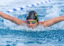 <a href="/actualites/pari-gagne-pour-la-commission-nationale-de-natation" class="active">Pari gagné pour la commission nationale de natation</a><div class="smartphoto_back_link"><a href="/multimedia">Retour aux albums</a></div><div class="smartphoto_date_album">Album publié le 13/06/2019</div>