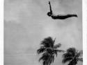 Un plongeon dans l'histoire