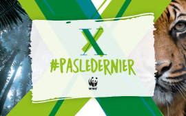 Campagne du WWF #pasledernier