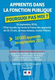 Apprentis dans la fonction publique