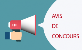 Avis de Concours