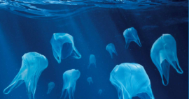 des sacs plastique en forme de méduses