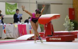 FSCF Gymnastique