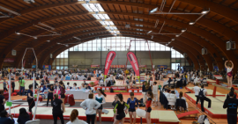 championnat national individuel mixte de gymnastique