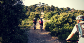 Focus Activité : Le Vélo Tout Chemin (VTC) à la FSCF