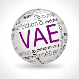 VAE