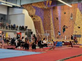 FSCF_Les-étoiles-de-la-Gymnastique-Féminine-en-compétition